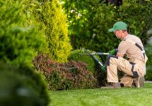 Découvrez 3 rôles du jardinier professionnel