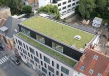 Toit vert : une solution naturelle pour lutter contre l’humidité dans les maisons avec UpGreen